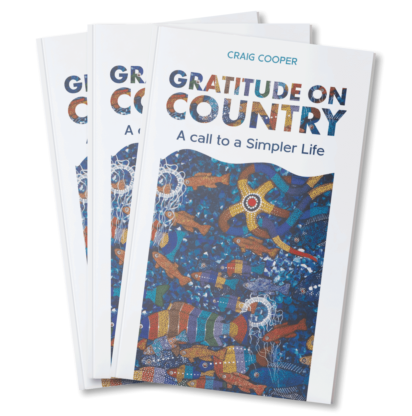 Gratitude on Country Book Cover